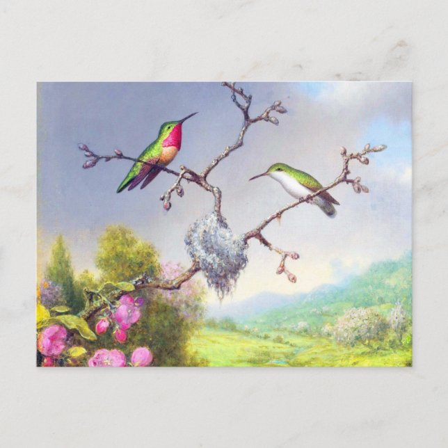 Postal Hummingbirds y el arte de las flores (Anverso)