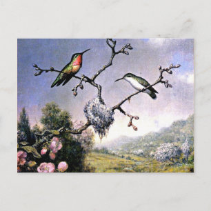 Postal Hummingbirds y flores de manzana