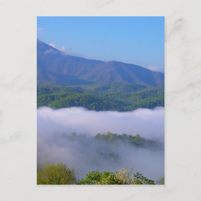 Postal Humo (Anverso)