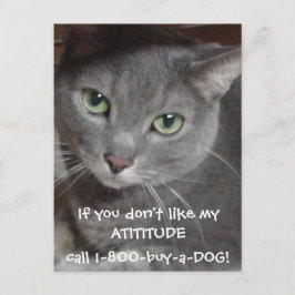Postal Humor de actitud de gato gris azul ruso