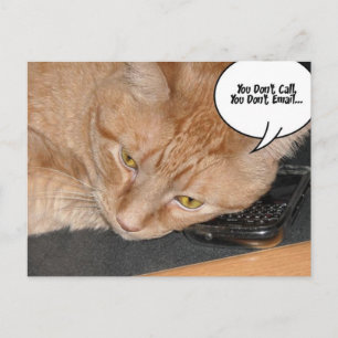 Postal Humor de gato naranja Tabby