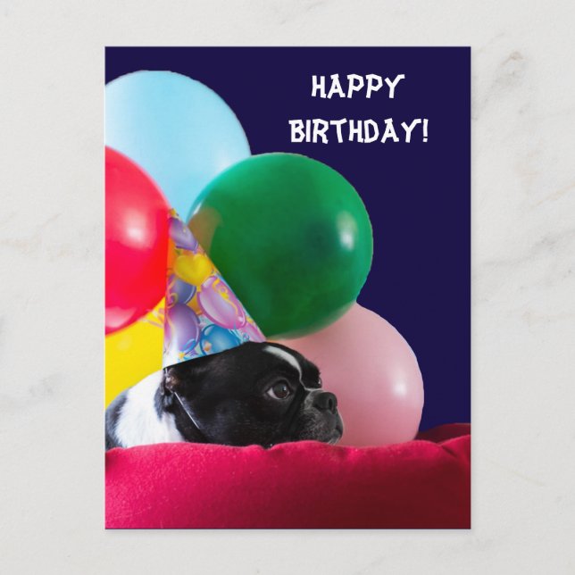 Postal Humor de perros de cumpleaños feliz con globos (Anverso)