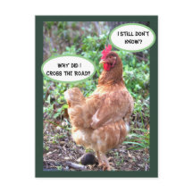 Humor de pollo