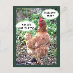Postal Humor de pollo