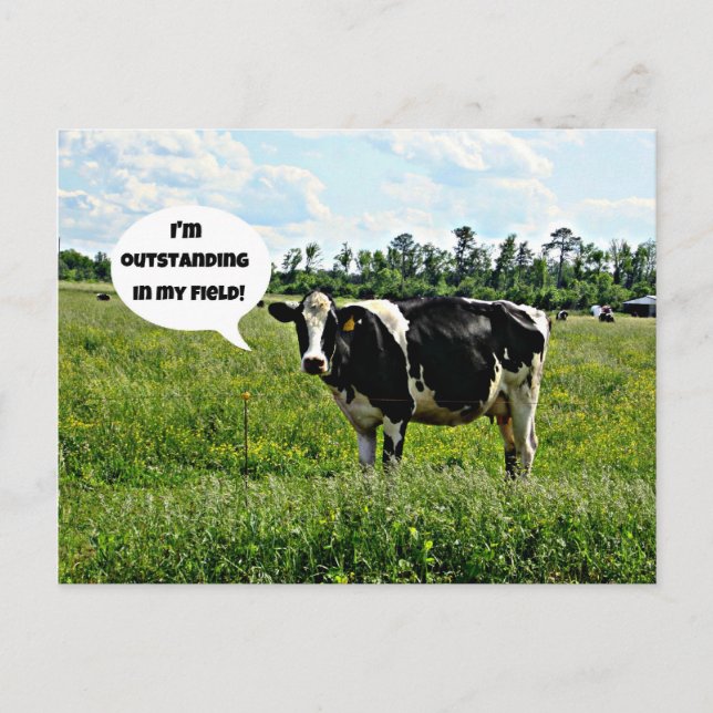 Postal Humor de vaca (Anverso)