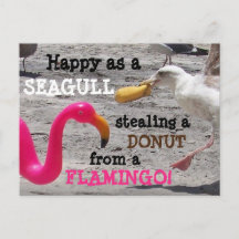Humor de vacaciones de gaviota rosada Flamingo Don