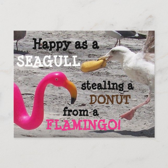 Postal Humor de vacaciones de gaviota rosada Flamingo Don (Anverso)