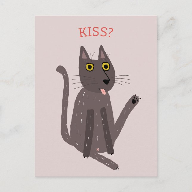 Postal Humor gato gracioso (Anverso)