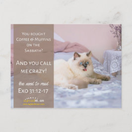 Postal Humor Loco De Gato