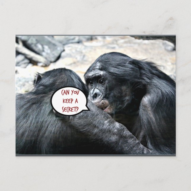 Postal Humor - ¿Puedes guardar un secreto? (Anverso)