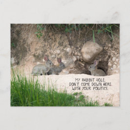 Postal Humor sobre política de foto de conejo político