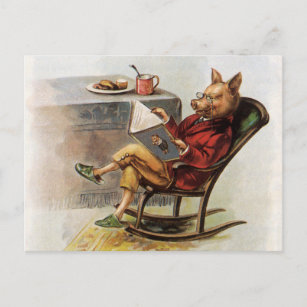 Postal Humor vintage, cerdo en silla de rock leyendo libr