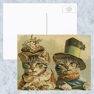 Postal Humor vintage, novia victoriana engorda gatos en G