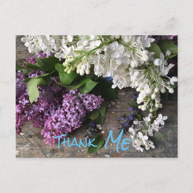 Postal humorística: Lilac Gracias "ME" anota (Anverso)