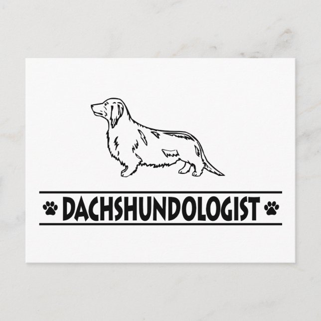Postal Humorístico Dachshund de cabello largo (Anverso)