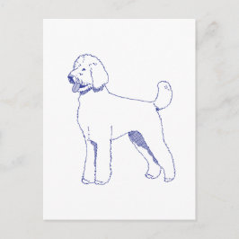 Postal Hunderasse Goldendoodle