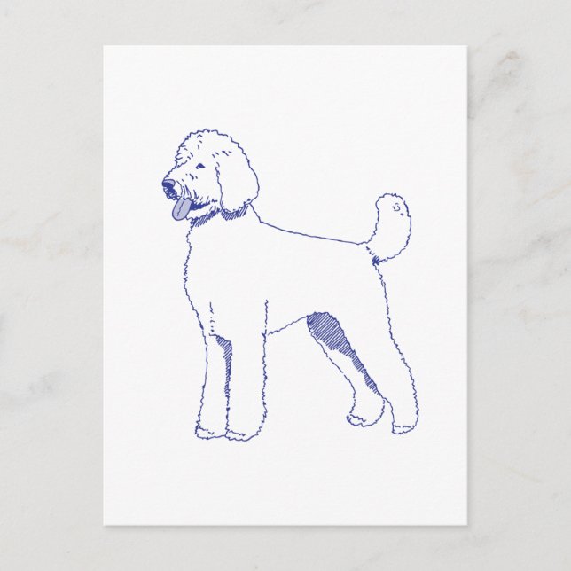 Postal Hunderasse Goldendoodle (Anverso)