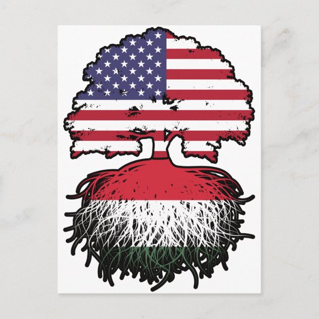 Postal Hungría Húngaro Estados Unidos (Anverso)