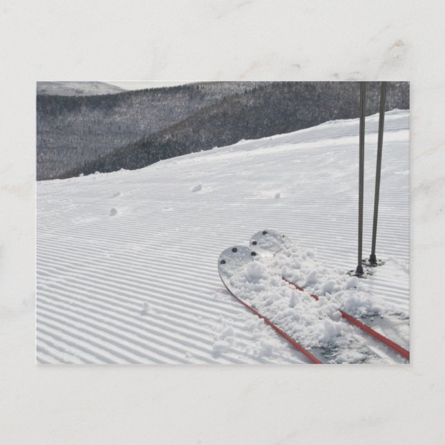 Postal Hunter (Anverso)