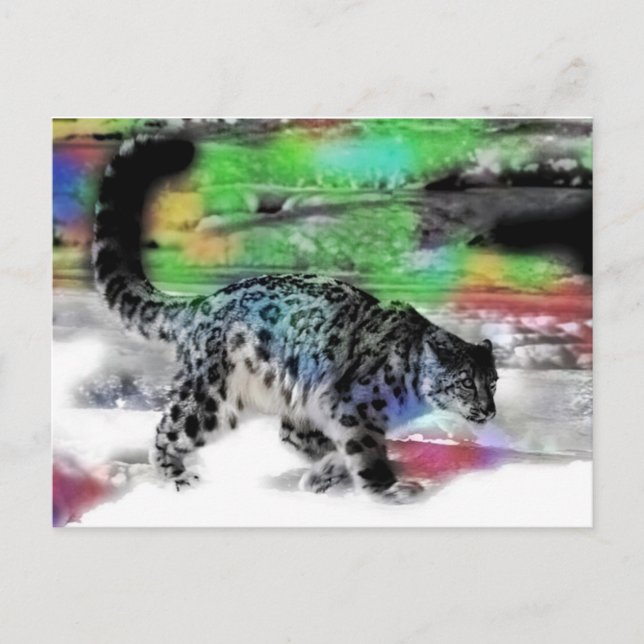 Postal Hunter de nieve 5 (Anverso)