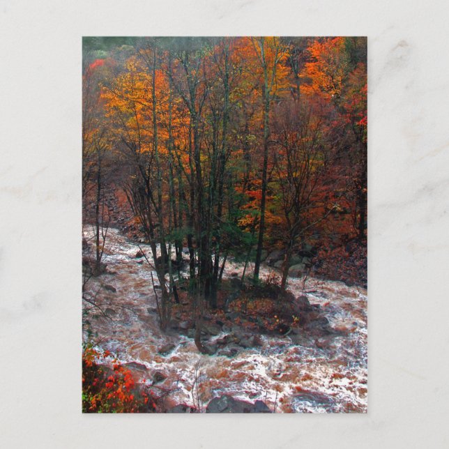 Postal Hunter Mountain Fast Water (Anverso)