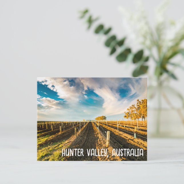 Postal Hunter Valley, Australia Postcard (Anverso de pie)