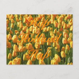 Postal Hup Holland Hup Naranja Tulips