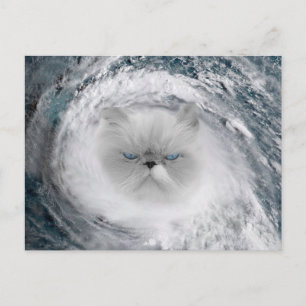 Postal Huracán Angry Cat 5