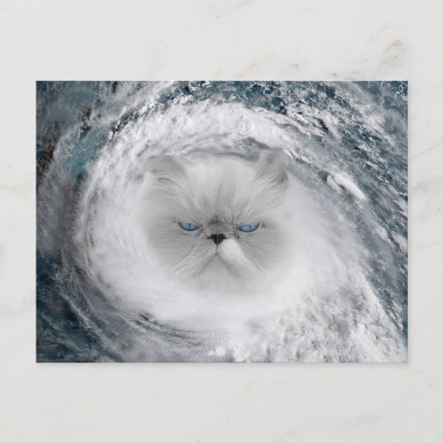 Postal Huracán Angry Cat 5 (Anverso)