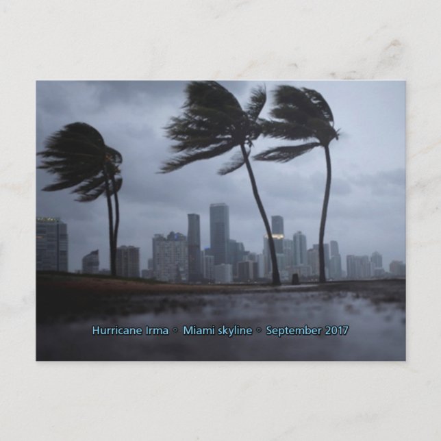 Postal Huracán Irma Miami (Anverso)