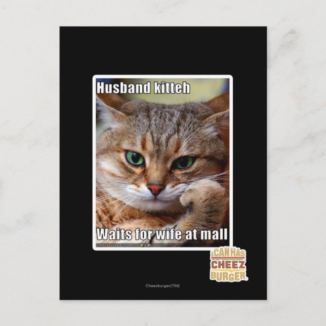 Postal Husband Kitteh (Anverso)