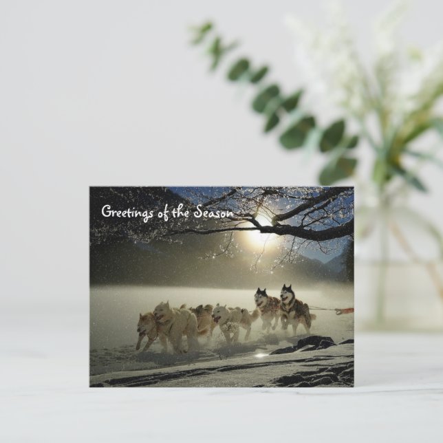 Postal Huskies Husky Holiday Navidades de perros sin logo (Anverso de pie)