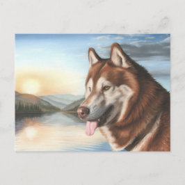 Postal Husky