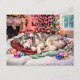 Postal Husky durmiendo en una acogedora escena de Navidad