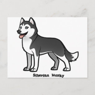 Postal Husky Siberian
