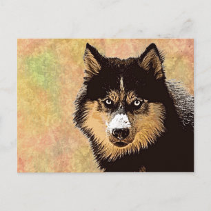 Postal Husky Siberian