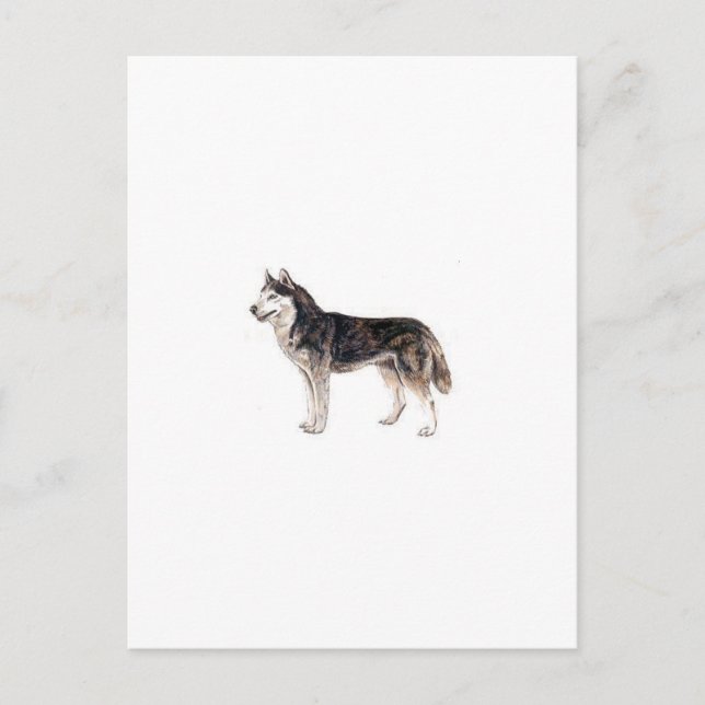 Postal Husky Siberian (Anverso)