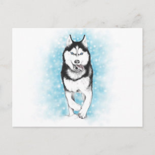 Postal Husky Siberian