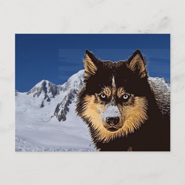 Postal Husky Siberian (Anverso)