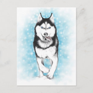 Postal Husky Siberian