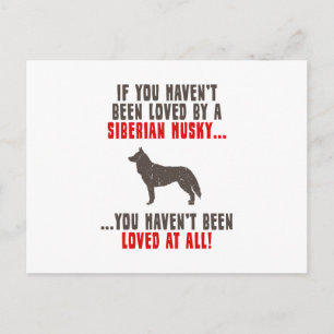 Postal Husky Siberian
