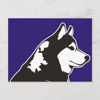 Postal Husky Siberian
