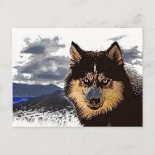Postal Husky Siberian