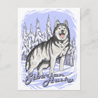 Postal Husky Siberian