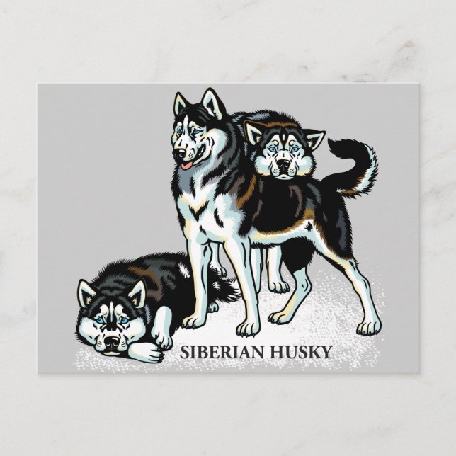 Postal husky siberiano (Anverso)