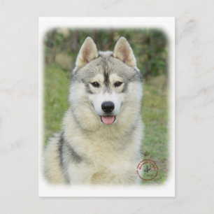Postal Husky Siberiano 9L69D-14
