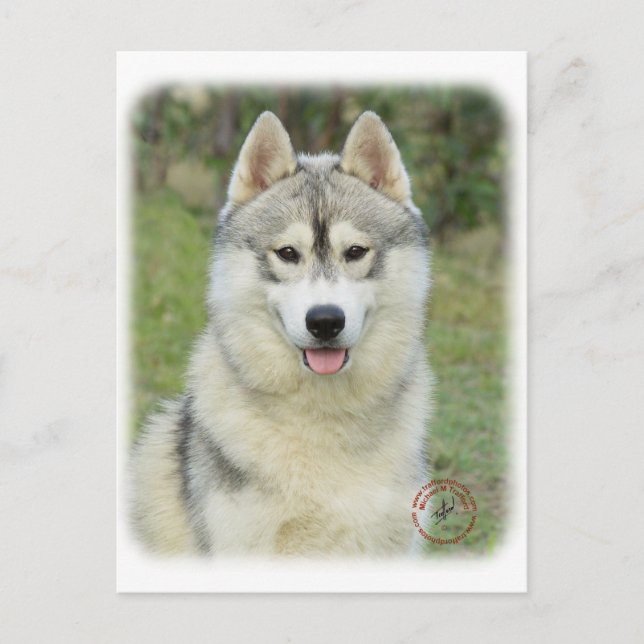 Postal Husky Siberiano 9L69D-14 (Anverso)