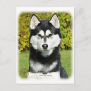 Postal Husky siberiano 9P046D-49