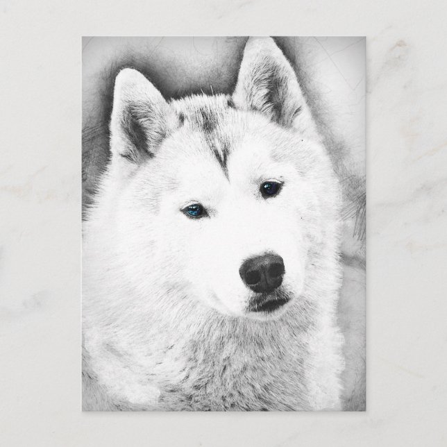 Postal Husky Siberiano Blanco con boceto Bella Artes Ojos (Anverso)