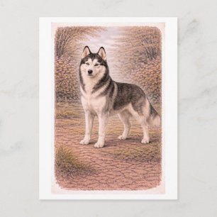 Postal Husky siberiano de estilo vintage